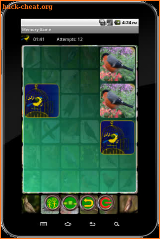 True Birds Memory Game screenshot