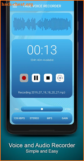 True Voice Recorder screenshot