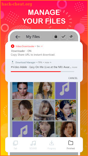 Tube Video Downloader screenshot