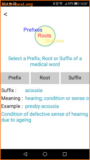 Turbo Medical Terminology screenshot