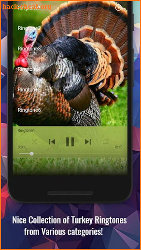 Turkey Ringtones screenshot