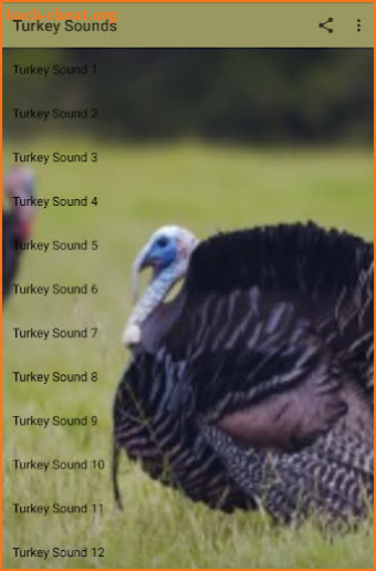 Turkey Sounds screenshot