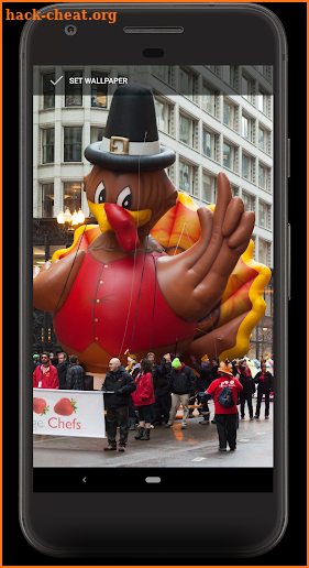 Turkey-Thanksgiving Photo Images Live & Free Pic screenshot