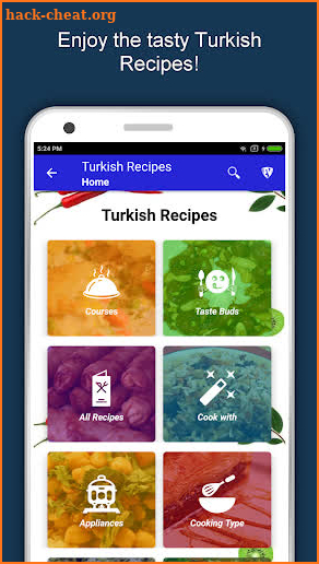 Turkish Food Recipes Offline: Healthy Cuisine screenshot