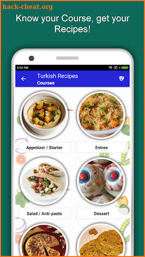 Turkish Food Recipes Offline: Healthy Cuisine screenshot