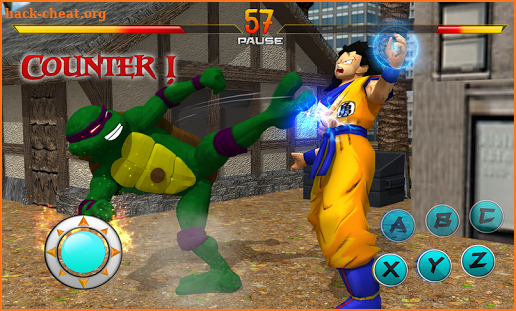 Turtle Hero Street Fighting screenshot