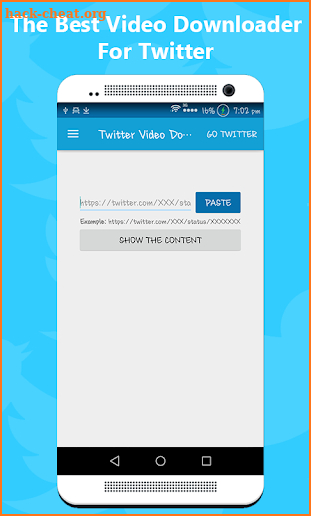 Twitter Video Downloader screenshot