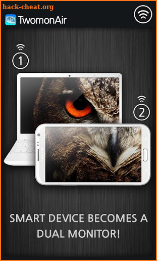 TwomonAir - Dualmonitor,remote screenshot