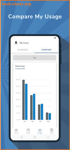 UGI Utilities Account screenshot