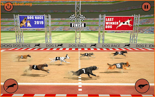 Ultimate Dog Racing: Wild Animal Racing Simulator screenshot