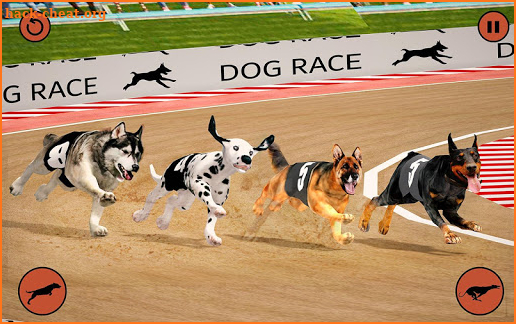 Ultimate Dog Racing: Wild Animal Racing Simulator screenshot