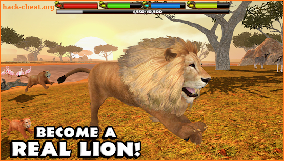 Ultimate Lion Simulator screenshot