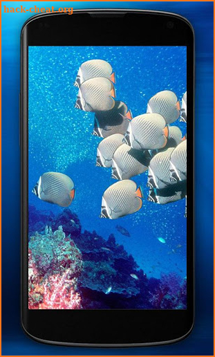 Underwater World HD Wallpaper screenshot