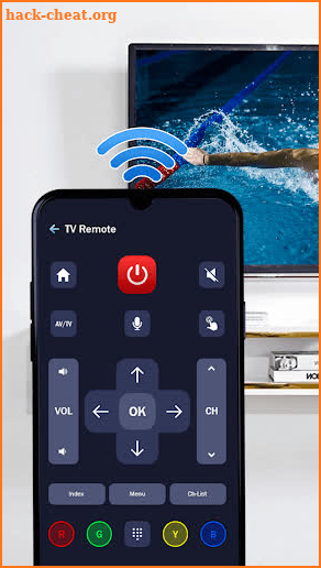 Universal Tv Remote Control screenshot