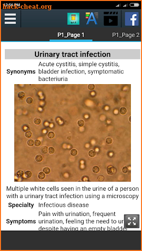 Urinary Tract Infection Info screenshot