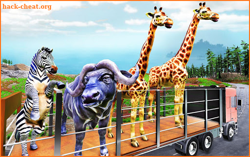 US Animal Games 2021 screenshot