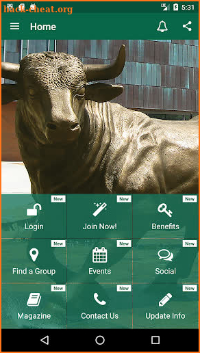 USF Alumni Association screenshot