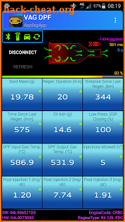 VAG DPF screenshot