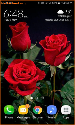 Valentine Red Roses LWP screenshot