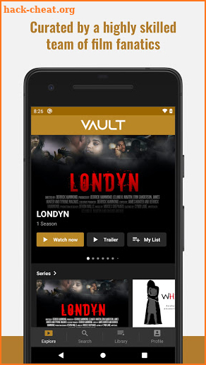 Vault screenshot