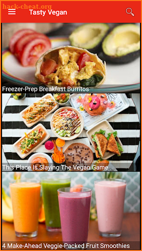 Vegan Recipes screenshot