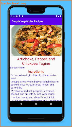 Vegetable Recipes screenshot