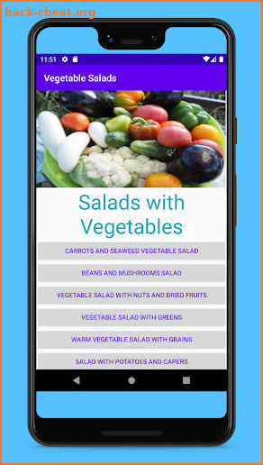 Vegetable Salads screenshot