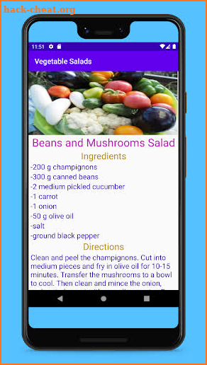 Vegetable Salads screenshot