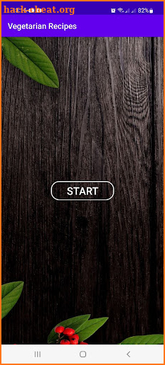Vegetarian Recipes screenshot