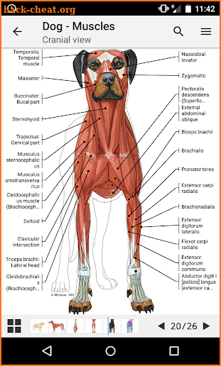 vet-Anatomy screenshot