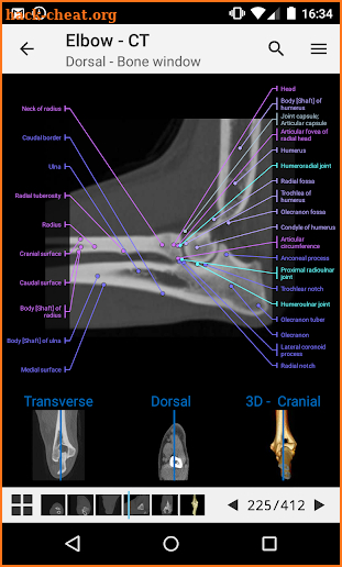 vet-Anatomy screenshot