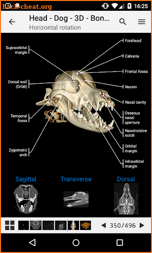 vet-Anatomy screenshot