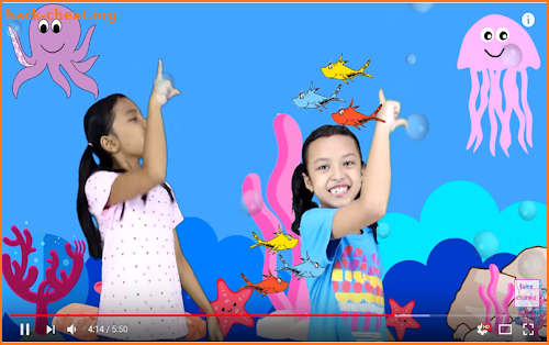 Video Baby Shark 2018 screenshot