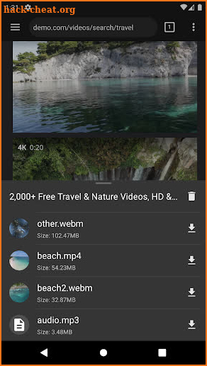 Video Downloader screenshot