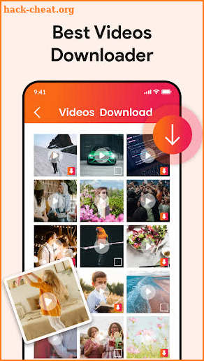 Video Downloader screenshot