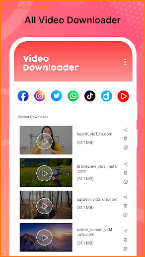 Video Downloader screenshot