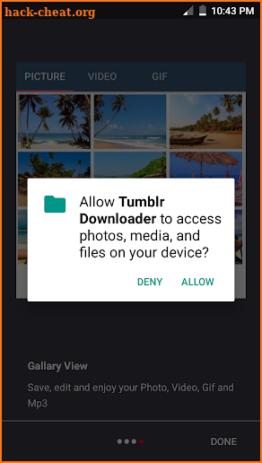 Video downloader for Tumblr screenshot