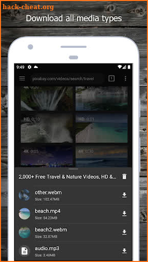 Video Downloader Pro screenshot