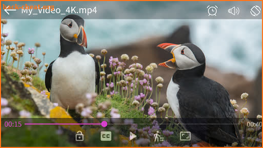 video player screenshot