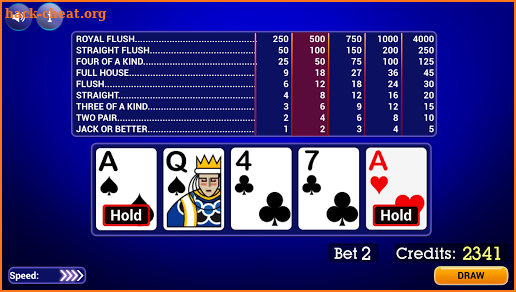 Video Poker: Multi Hand screenshot