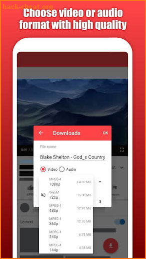 Video social downloader screenshot