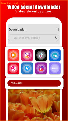 Video social downloader screenshot