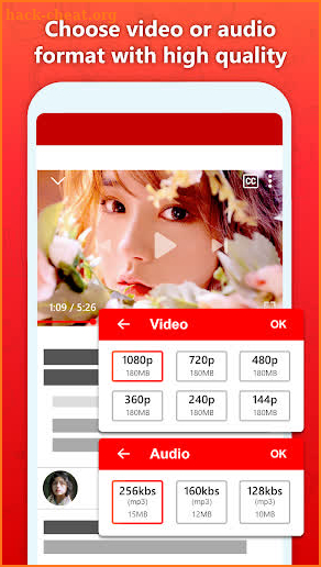 Video social downloader screenshot