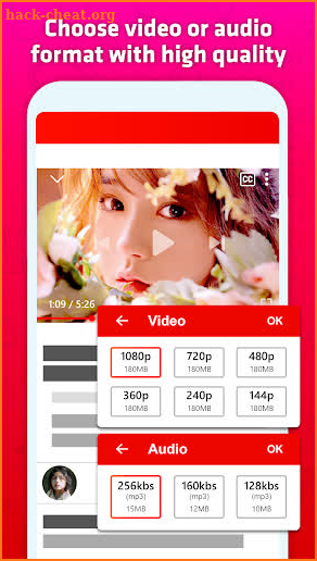 Video Social Downloader screenshot