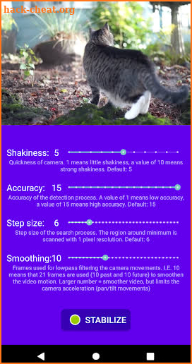 Video Stabilizer screenshot