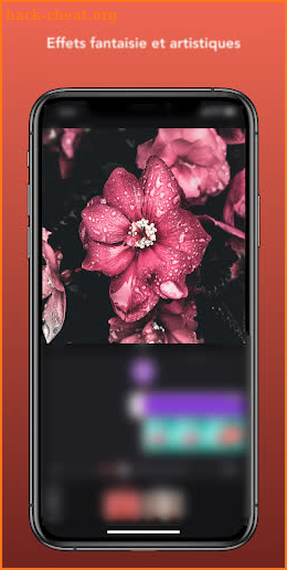 Videoleap Enlighted screenshot