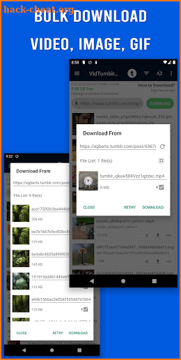 VidTumb: Downloader for Tumblr screenshot