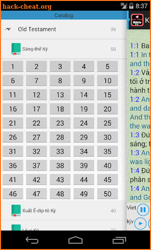 Vietnamese English Audio Bible screenshot