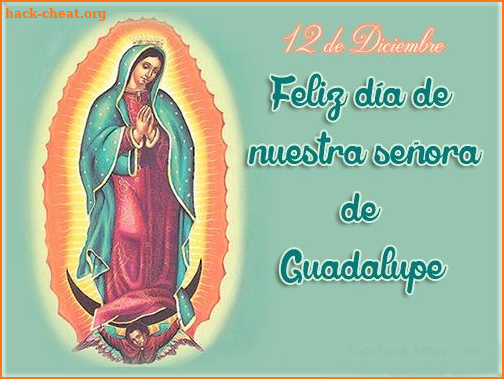 Virgen de Guadalupe screenshot