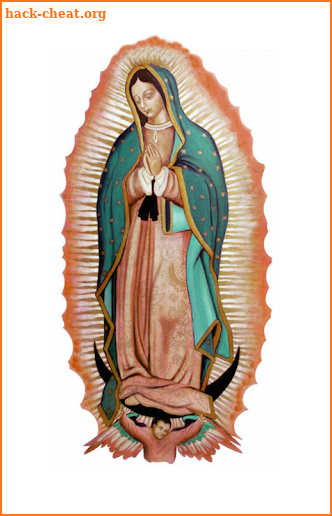 Virgen De Guadalupe Con Rosas screenshot